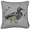 Country Living Duck Print Cushion - 43x43cm 2 Country Living Duck Print Cushion - 43x43cm -Curver Store 12887247 1214848434466261