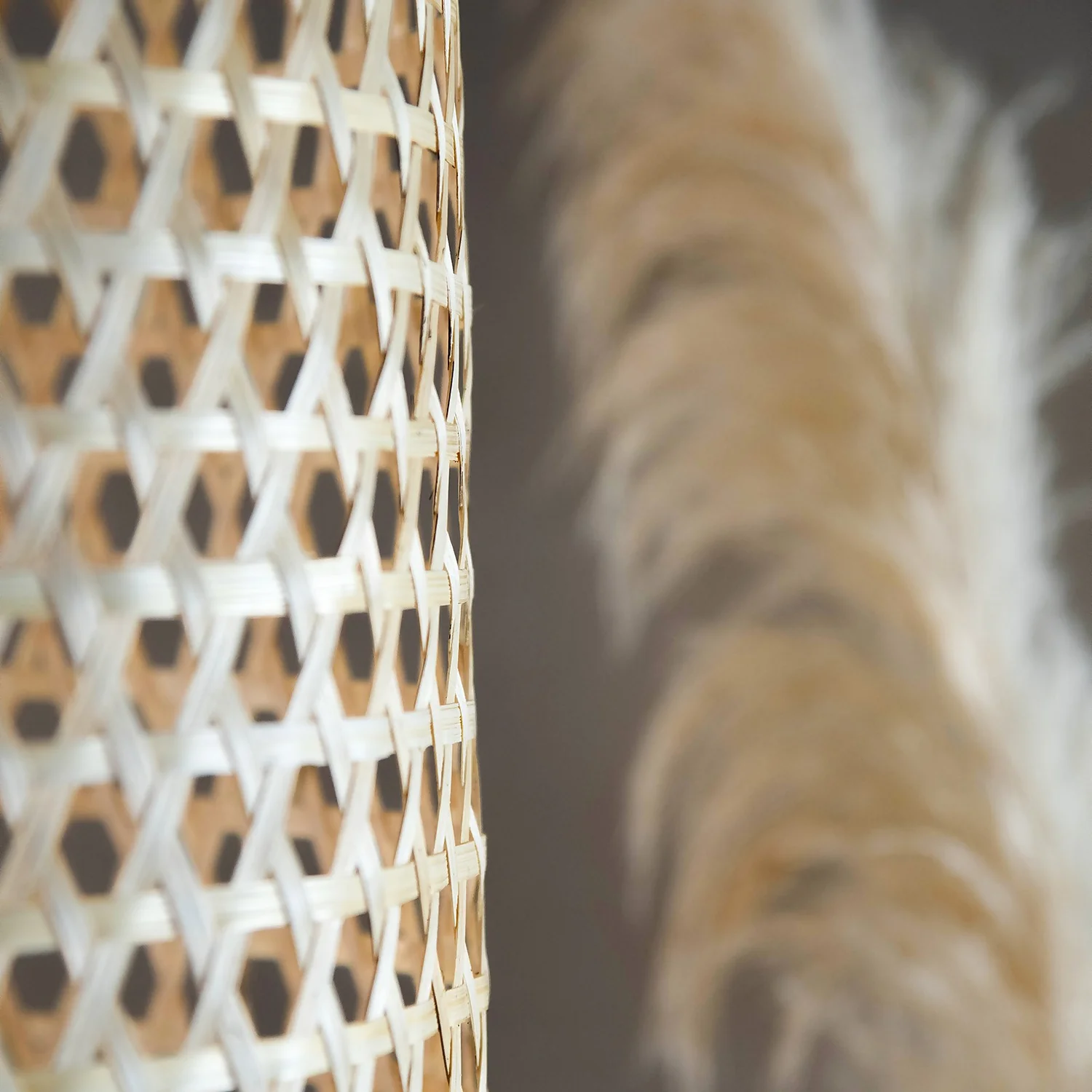 Reid Bamboo Easy Fit Shade 7 Reid Bamboo Easy Fit Shade - Image 5